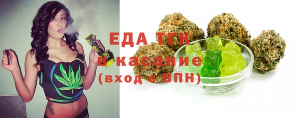 гидра Гусев