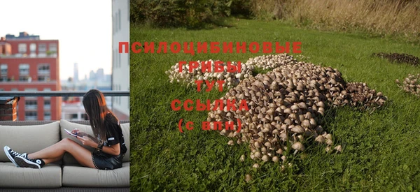 гидра Гусев