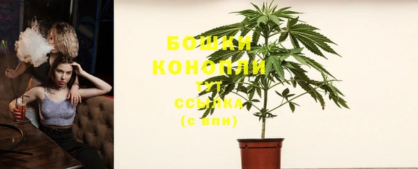 гидра Гусев