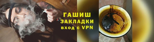 гидра Гусев