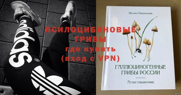 гидра Гусев