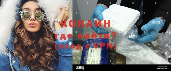 гидра Гусев