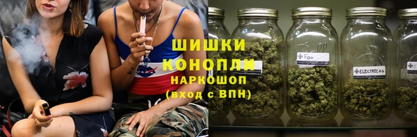 гидра Гусев