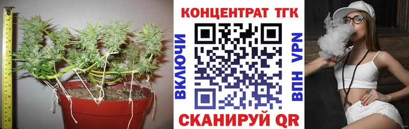 ТГК Wax  дарнет шоп  гидра tor  Жердевка 